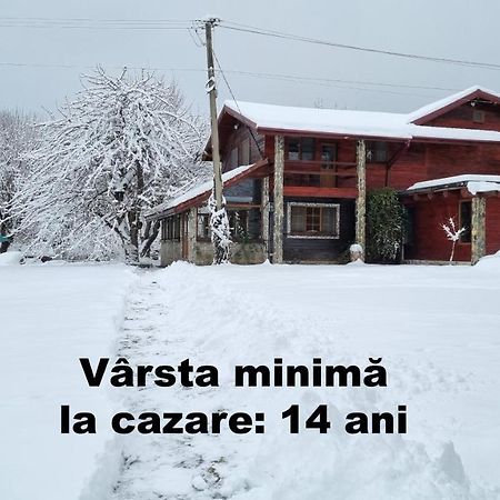 Casa Bunicului Villa Vistisoara Eksteriør bilde