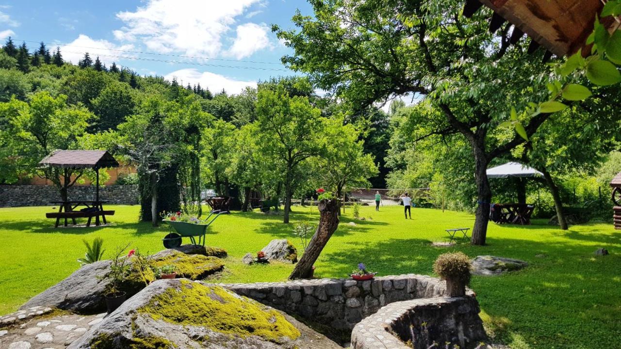 Casa Bunicului Villa Vistisoara Eksteriør bilde