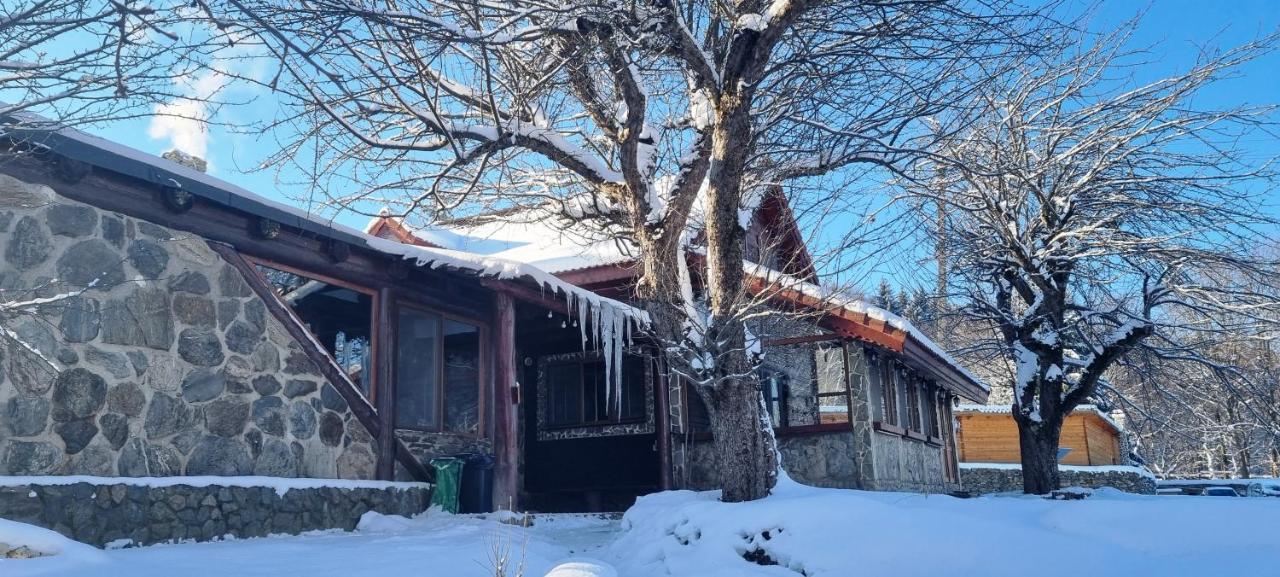 Casa Bunicului Villa Vistisoara Eksteriør bilde