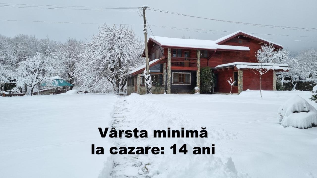 Casa Bunicului Villa Vistisoara Eksteriør bilde