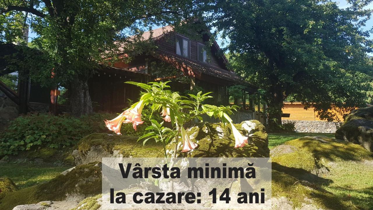 Casa Bunicului Villa Vistisoara Eksteriør bilde