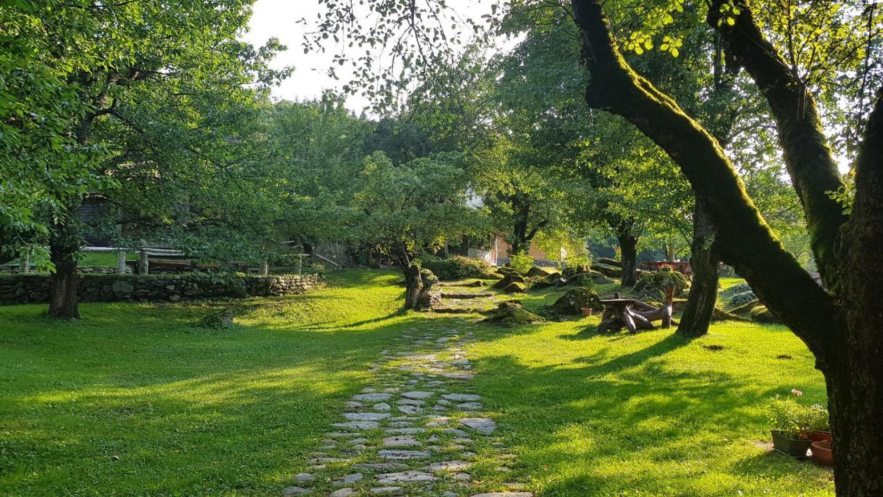 Casa Bunicului Villa Vistisoara Eksteriør bilde
