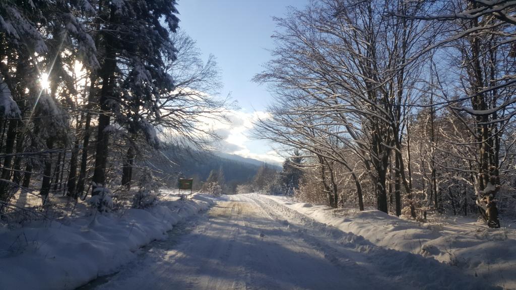 Casa Bunicului Villa Vistisoara Eksteriør bilde