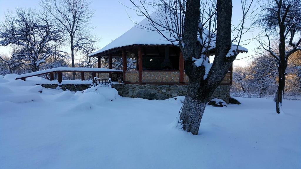 Casa Bunicului Villa Vistisoara Eksteriør bilde