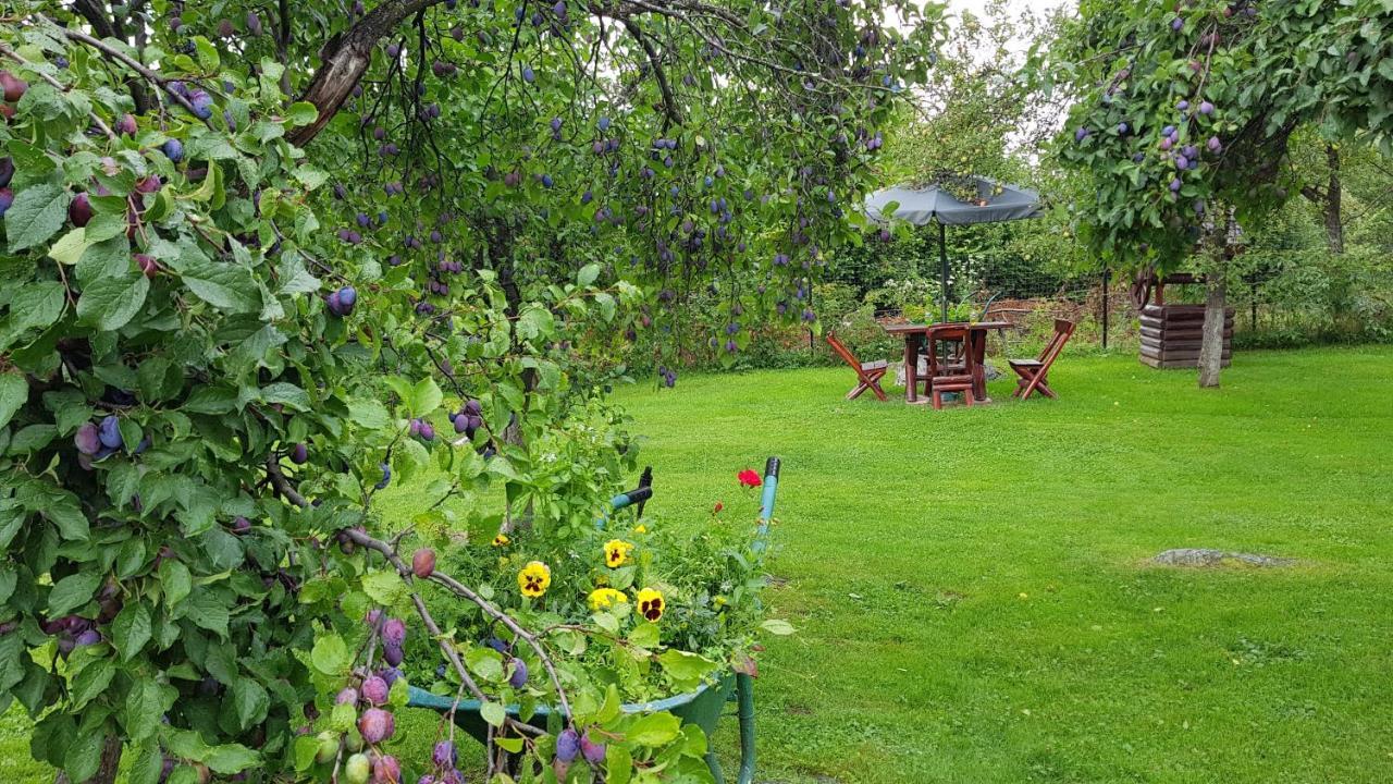 Casa Bunicului Villa Vistisoara Eksteriør bilde