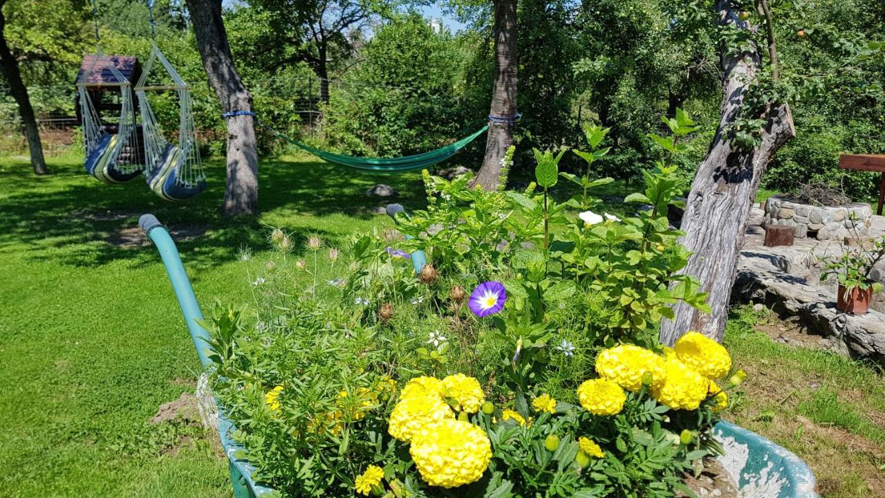 Casa Bunicului Villa Vistisoara Eksteriør bilde