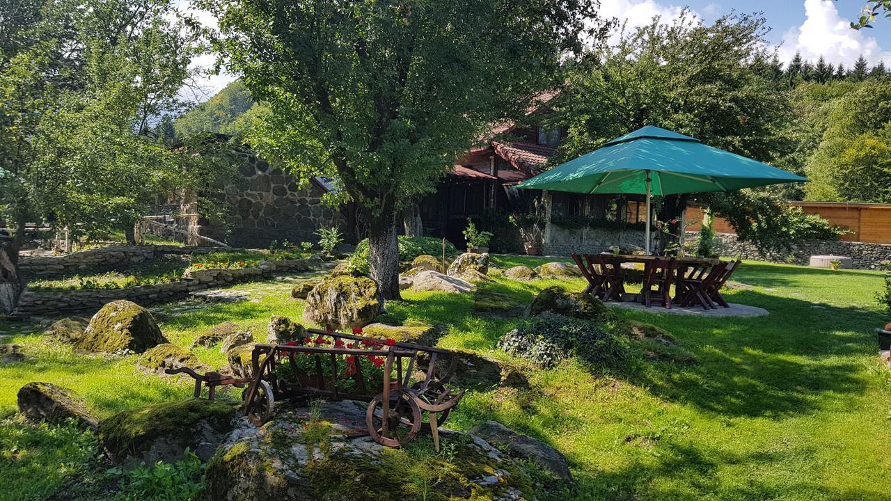 Casa Bunicului Villa Vistisoara Eksteriør bilde
